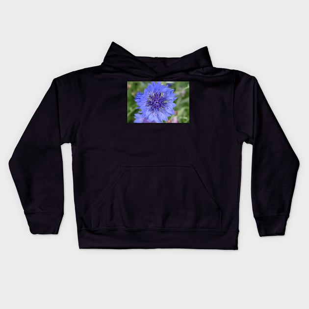 Cornflower Blue Kids Hoodie by AH64D